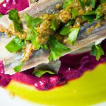 Inside the Sardine Bowl: Exploring Nature’s Tiny Ocean Marvel